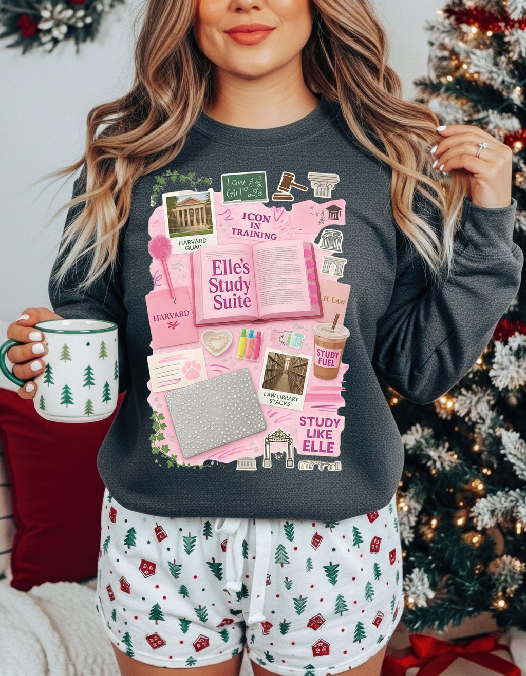 Pink Law School Sweatshirt | Preppy Y2K College Student Wear