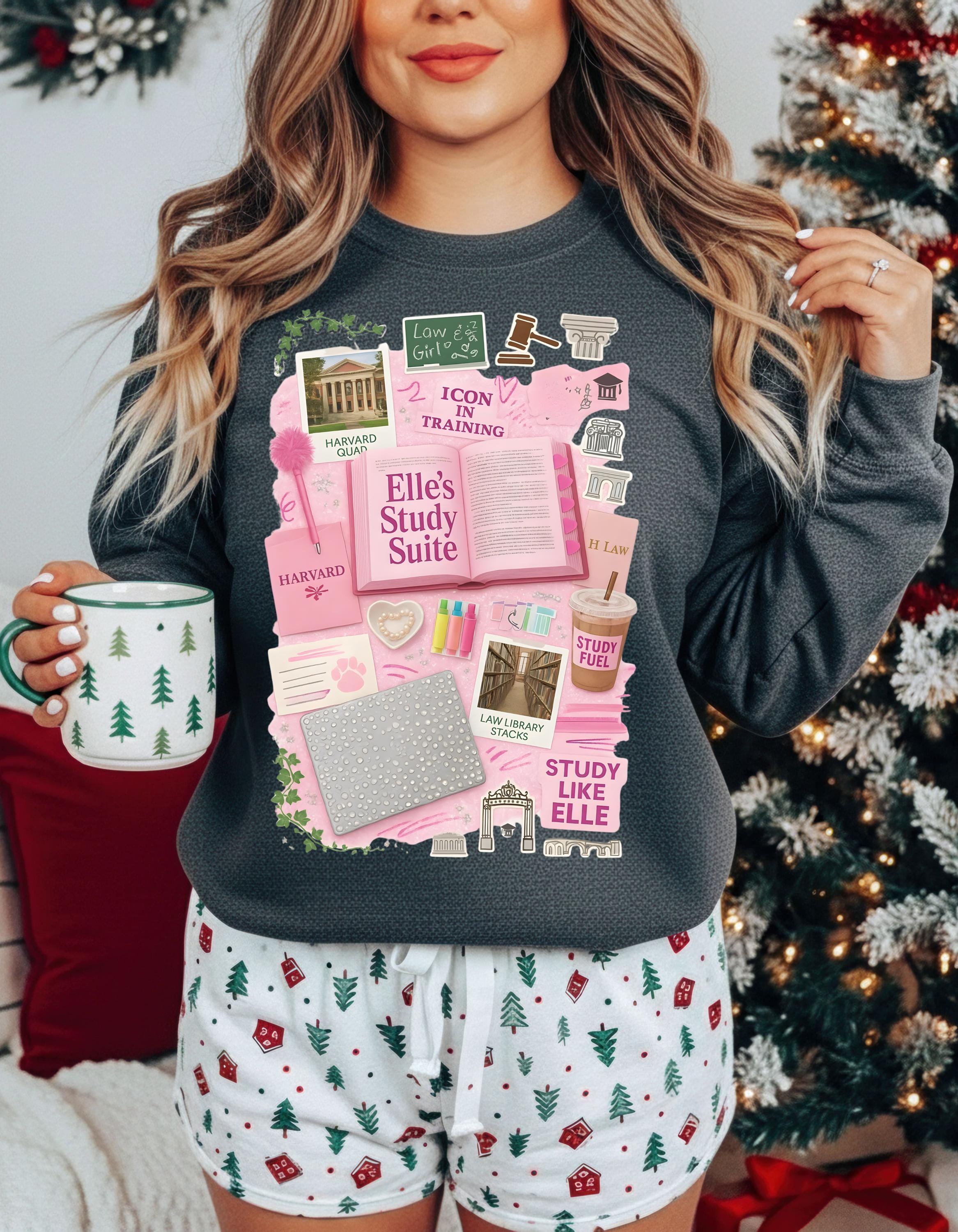 Pink Law School Sweatshirt | Preppy Y2K College Student Wear